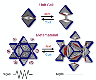 Digital Shape-Morphing Thermo-mechanical Metamaterials